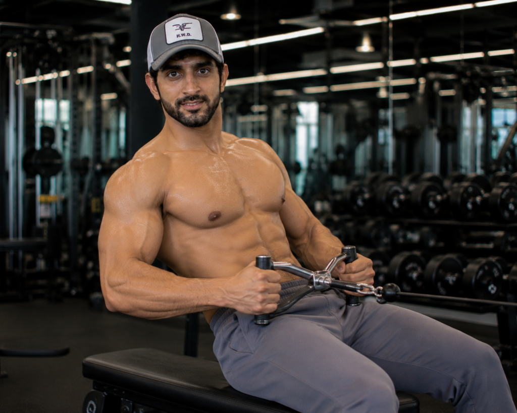 Fan-made Sheikh Hamdan seated strength-training image in a gym